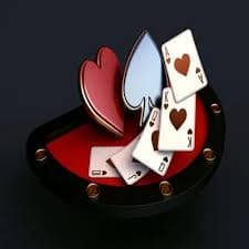 tg555 bet
